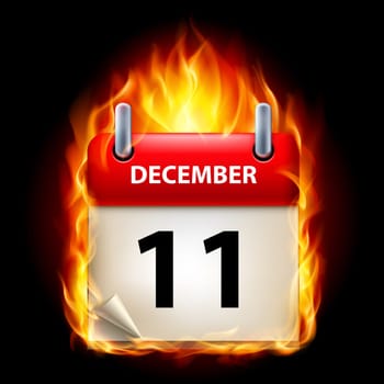 Eleventh December in Calendar. Burning Icon on black background