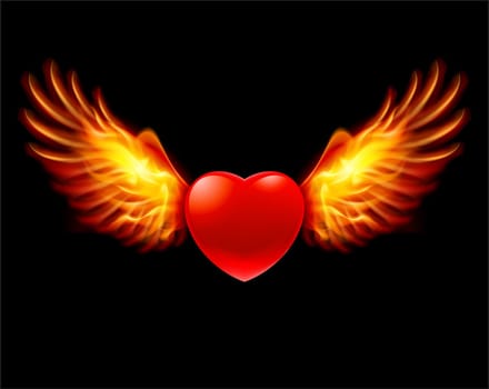 Heart in fiery wings, a color illustration on a black background