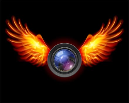 Focus-Fiery wings, a color illustration on a black background