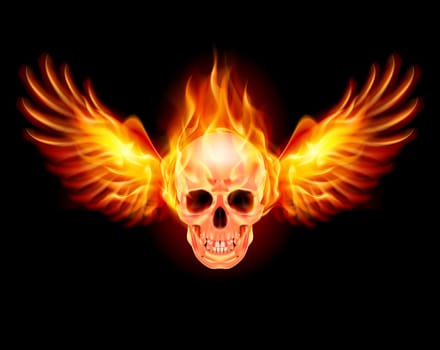 Flaming Skull with Fire Wings. Illustration on black