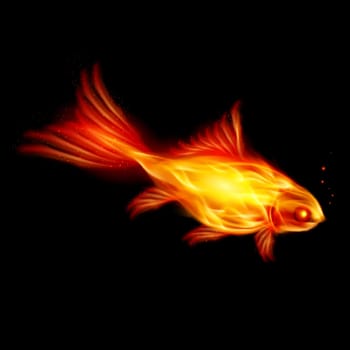 Abstract Burning fish, Illustration on black background