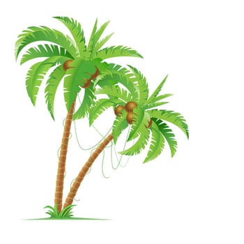 Two palm trees. Illustration for design on white background