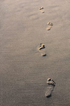 Walking footprints on sandy beach