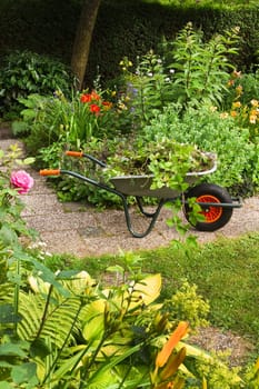 Cleaning up summer garden full of flowers and wheelbarrow with garden-waste, plants and weeds - vertical