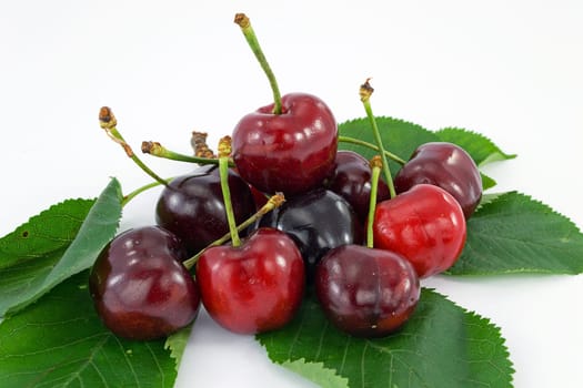 fruit