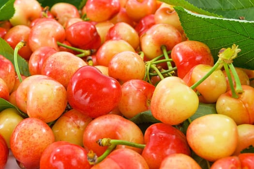 fruits