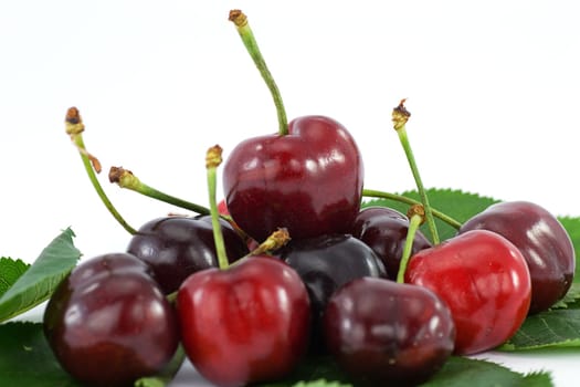 fruit