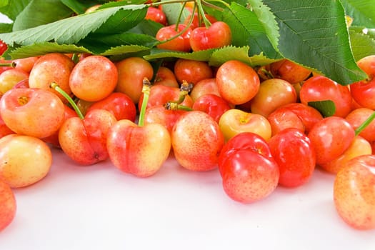fruits