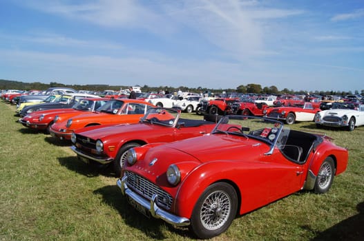 Classic sports cars including Triumph TR3 and TR6, Porsche and Jaguar parked at