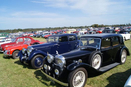 Classic sports cars including Avis, MG and Jaguar parked at the Goodwood Revival