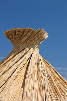 Beach umbrella on the beach