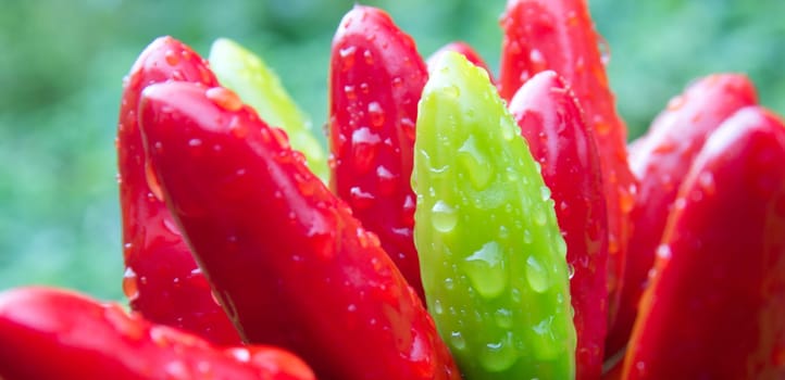 chili picante a mazetti