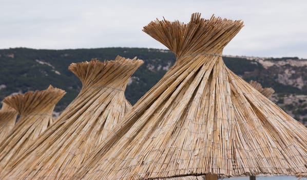 Beach umbrella on the beach