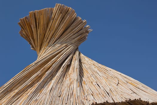 Beach umbrella on the beach
