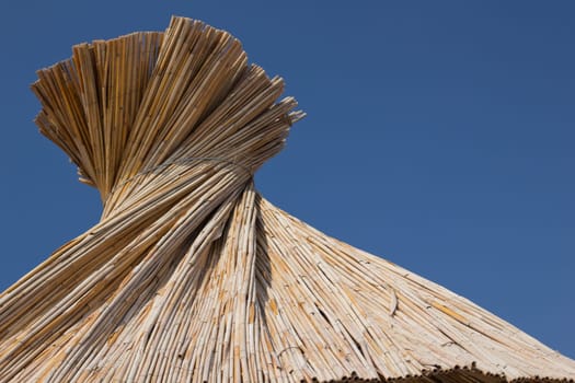 Beach umbrella on the beach
