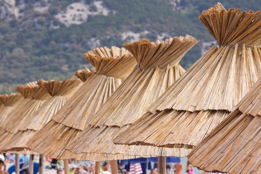 Beach umbrella on the beach