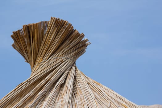 Beach umbrella on the beach