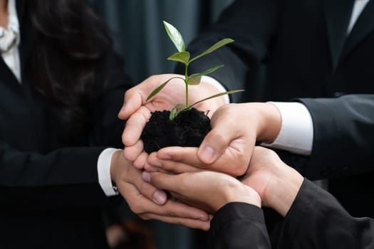 Eco-friendly investment on reforestation by group of business people holding plant together in office promoting CO2 reduction and natural preservation to save Earth with sustainable future. Quaint