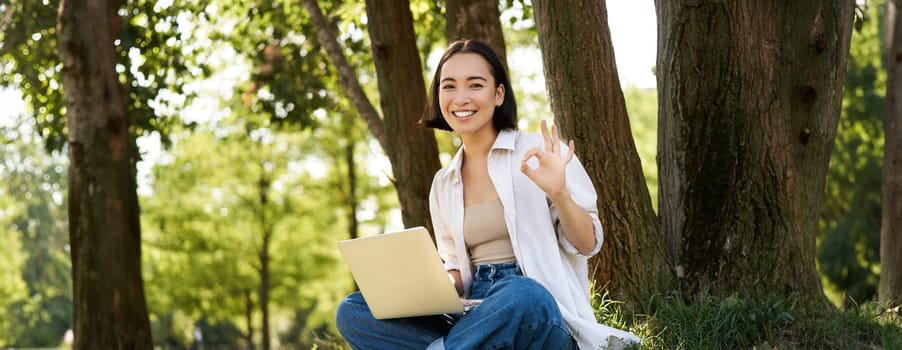 Portrait of asian young woman, student doing homework, working in park, sitting beside tree with laptop and showing okay sign, approve smth.