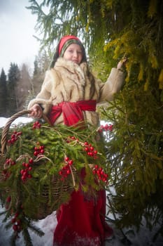 Teen girl in thick coat and a red sash with basket of fir branches and berries in cold winter day in a forest. Medieval peasant girl with firewood. Photoshoot in stile of Christmas fairy tale