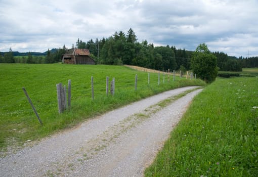 Sand path diagonally between two meadows in the Allgäu