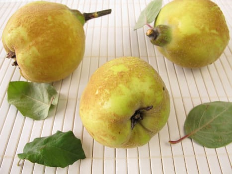 Quinces