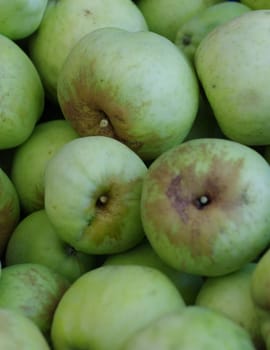 green organic apples