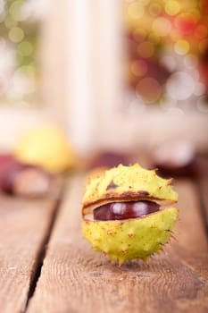 Chestnuts
