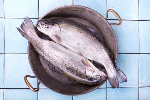 Trout in the pan