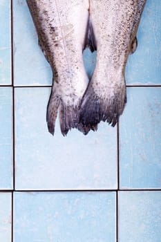 Trout fins