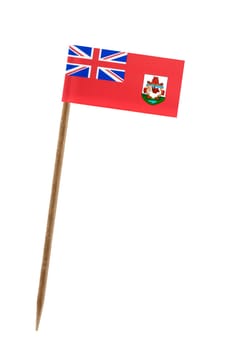 Tooth pick wit a small paper flag of Bermuda