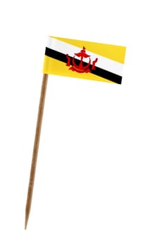 Tooth pick wit a small paper flag of Brunei