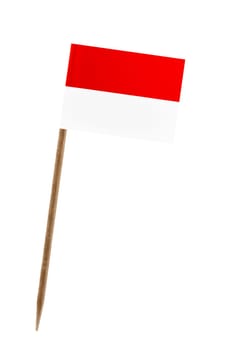 Tooth pick wit a small paper flag of Monaco