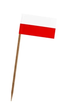 Tooth pick wit a small paper flag of Poland