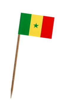 Tooth pick wit a small paper flag of Senegal