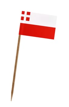 Tooth pick wit a small paper flag of Utrecht