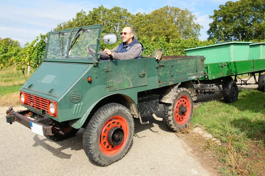 Grape harvest in Baden-Württemberg