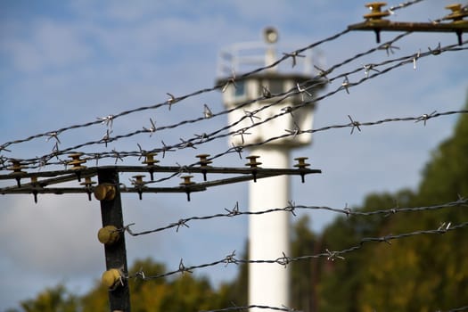 Barbed wire