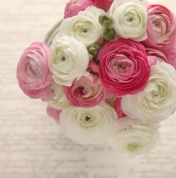 pink and white ranunculus with script