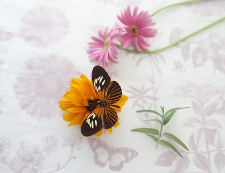 flowers on textured paper with butterfly