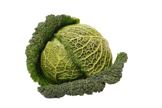 Savoy cabbage isolated on white