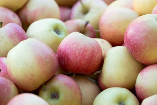 apple background