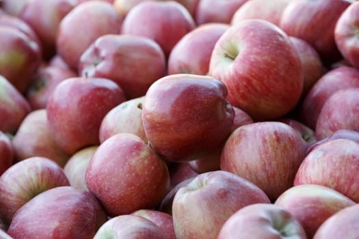 apple background