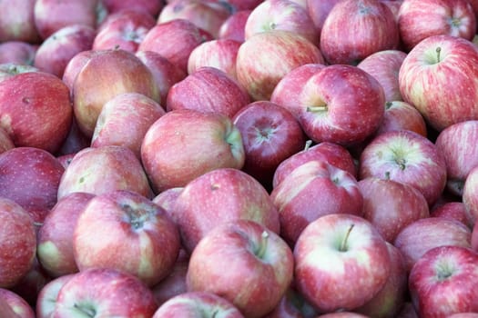 apple background