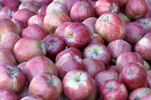 apple background