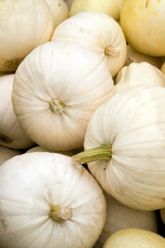 A box full of Ghost Pumpkins on the Farm