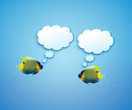 angelfish faces as social network with speech bubbles.