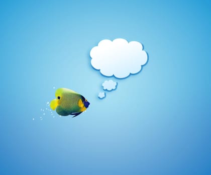 angelfish faces as social network with speech bubbles.