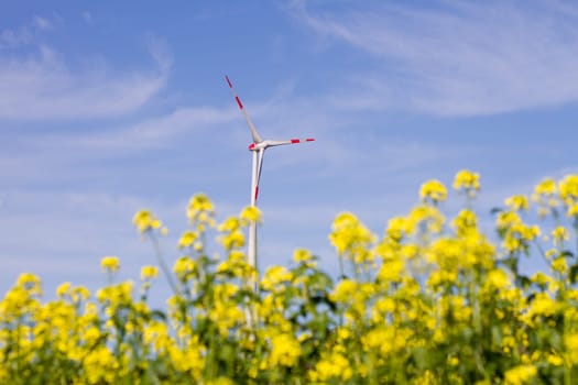 Wind power