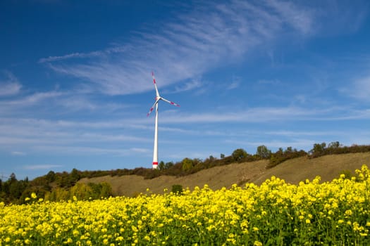 Wind power